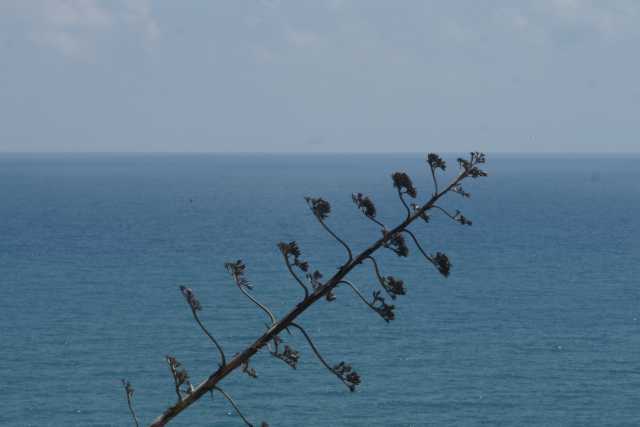 DSC07063.JPG