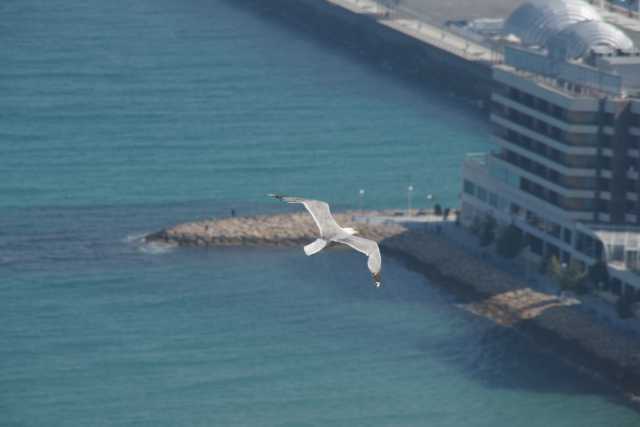 DSC07082.JPG