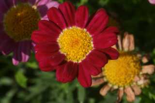 DSC07388.JPG