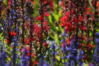 DSC07402.JPG