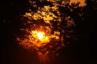 DSC08283.JPG
