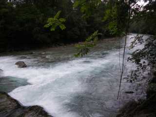 IMGP1175.JPG