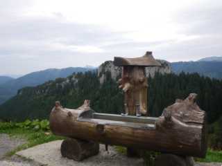 IMGP1195.JPG
