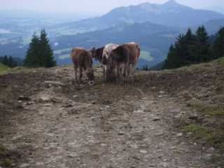 IMGP1224.JPG