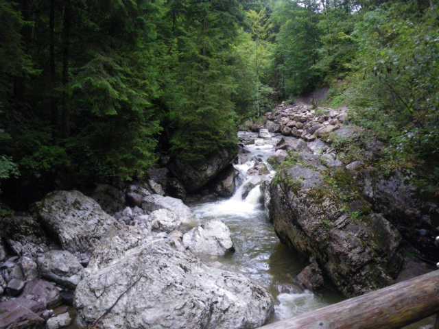 IMGP1168.JPG