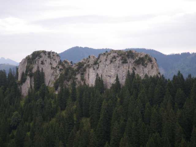 IMGP1194.JPG