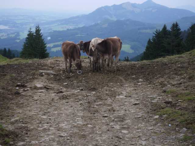 IMGP1224.JPG