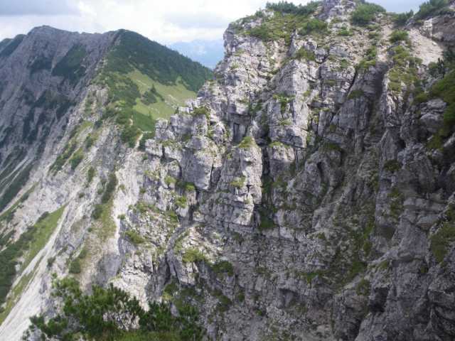 IMGP1274.JPG