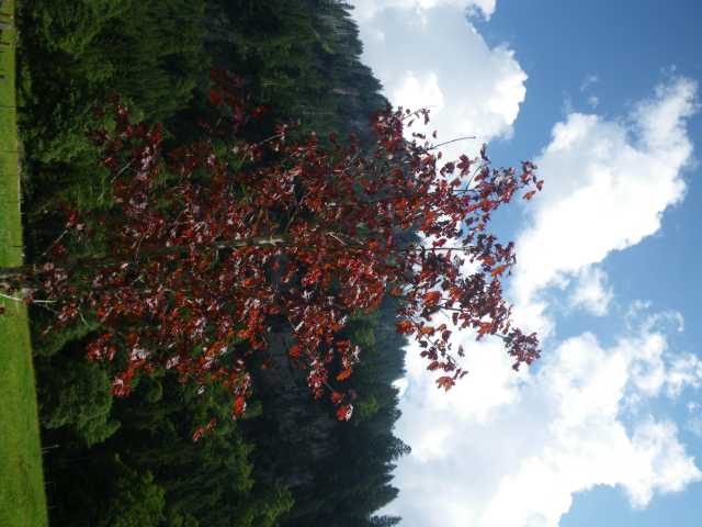 IMGP1314.JPG