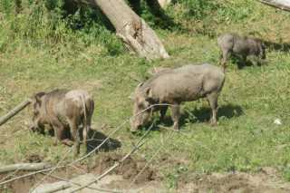 DSC07720.JPG