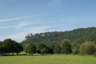 DSC08356.JPG