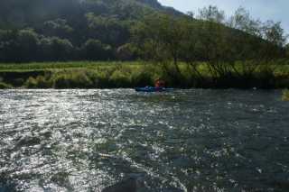 DSC08363.JPG