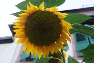 DSC08474.JPG