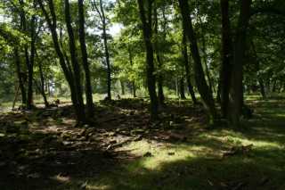 DSC08516.JPG