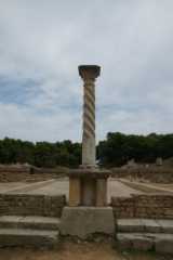 DSC08612.JPG