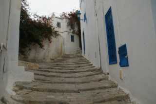 DSC08625.JPG