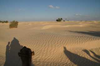DSC09054.JPG