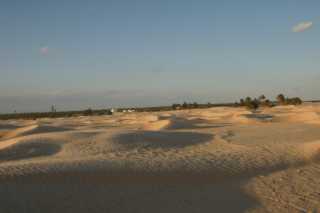 DSC09105.JPG