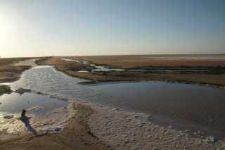 DSC09270.JPG