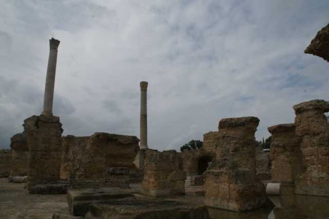 DSC08593.JPG