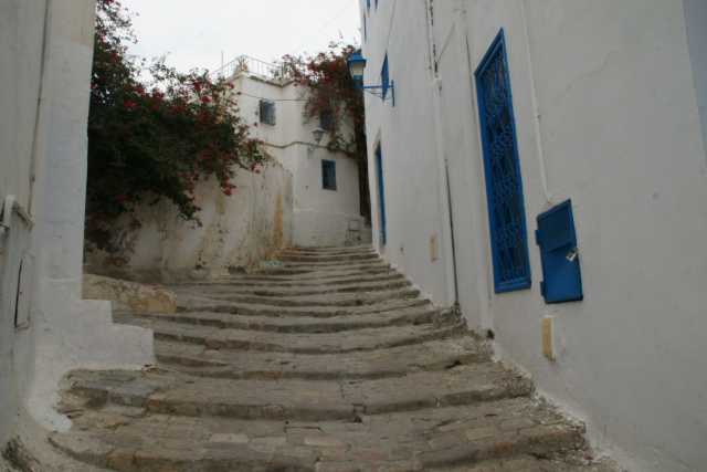 DSC08625.JPG