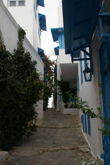 DSC08635.JPG