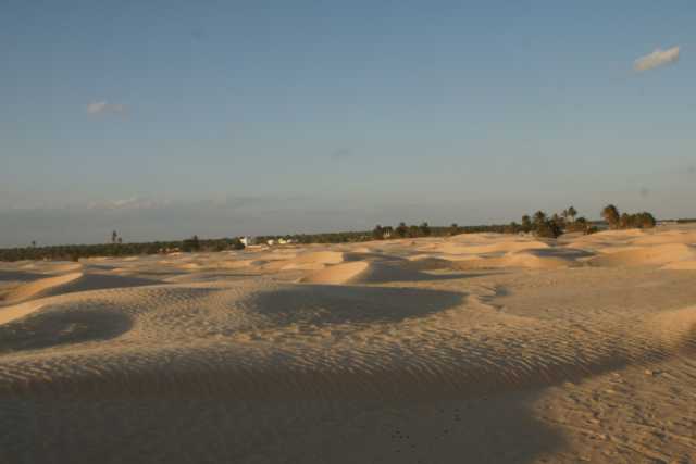 DSC09105.JPG