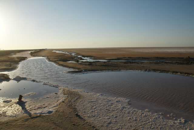 DSC09270.JPG