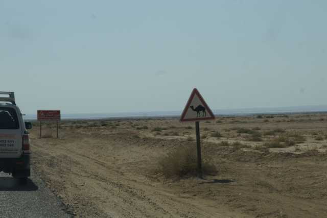 DSC09451.JPG