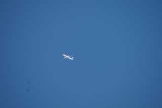 DSC03118.JPG