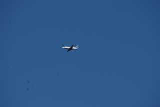 DSC03140.JPG