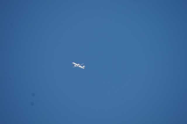 DSC03118.JPG