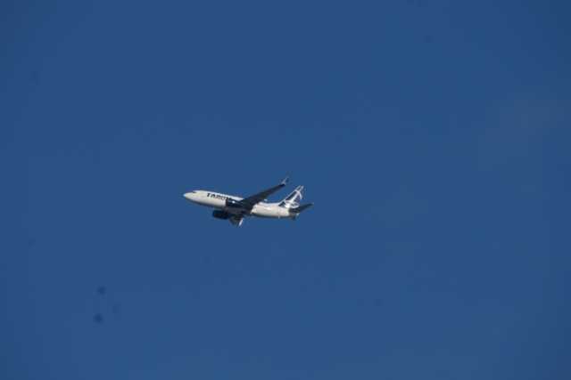 DSC03125.JPG