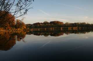 DSC09801.JPG