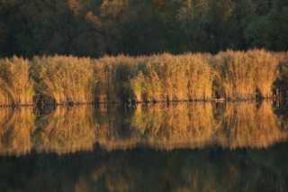 DSC09811.JPG