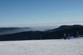DSC00401.JPG
