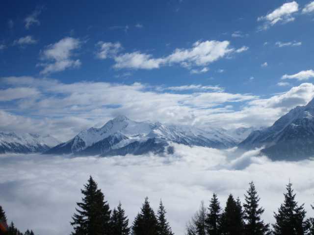 IMGP1731.JPG