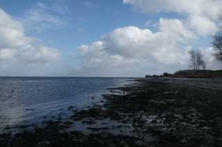 DSC00916.JPG