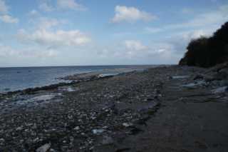 DSC00960.JPG