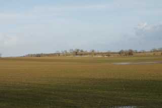DSC00967.JPG