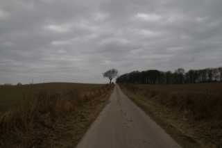 DSC01000.JPG