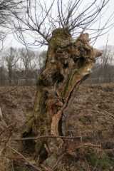 DSC01002.JPG
