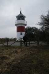 DSC01037.JPG