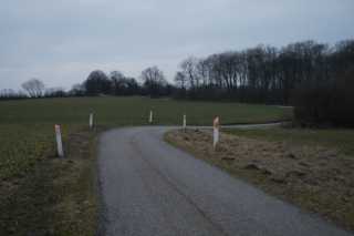 DSC01049.JPG