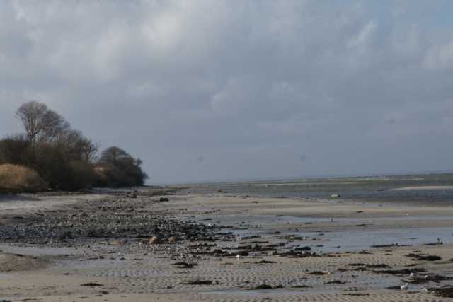 DSC00929.JPG