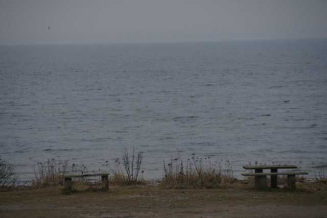 DSC01026.JPG