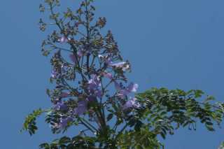 DSC01675.JPG