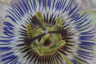 DSC01750.JPG