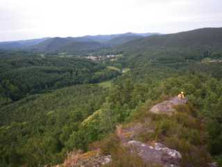 IMGP2033.JPG