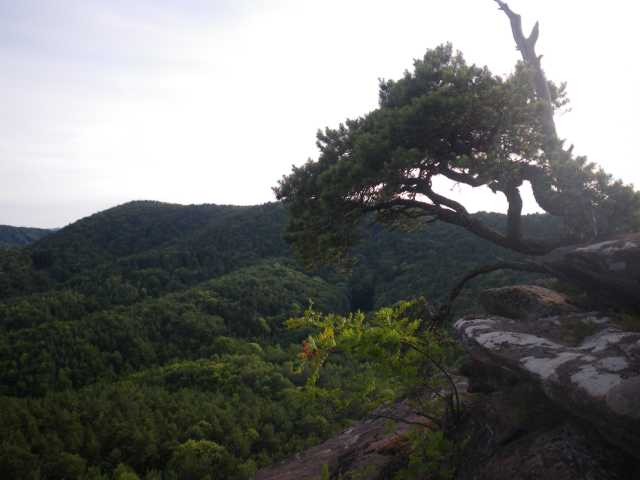 IMGP2076.JPG